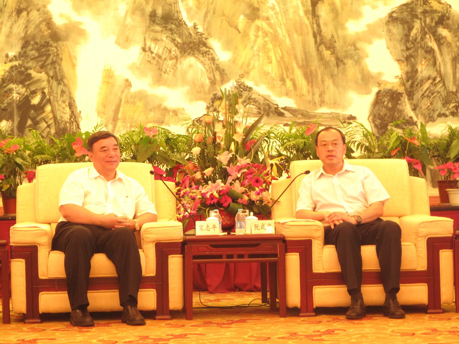 武汉市委书记阮成发与宋志平董事长举行会晤 尊龙凯时 - 人生就是搏!