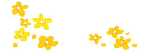 20221107103313378517 20221107103313378517
