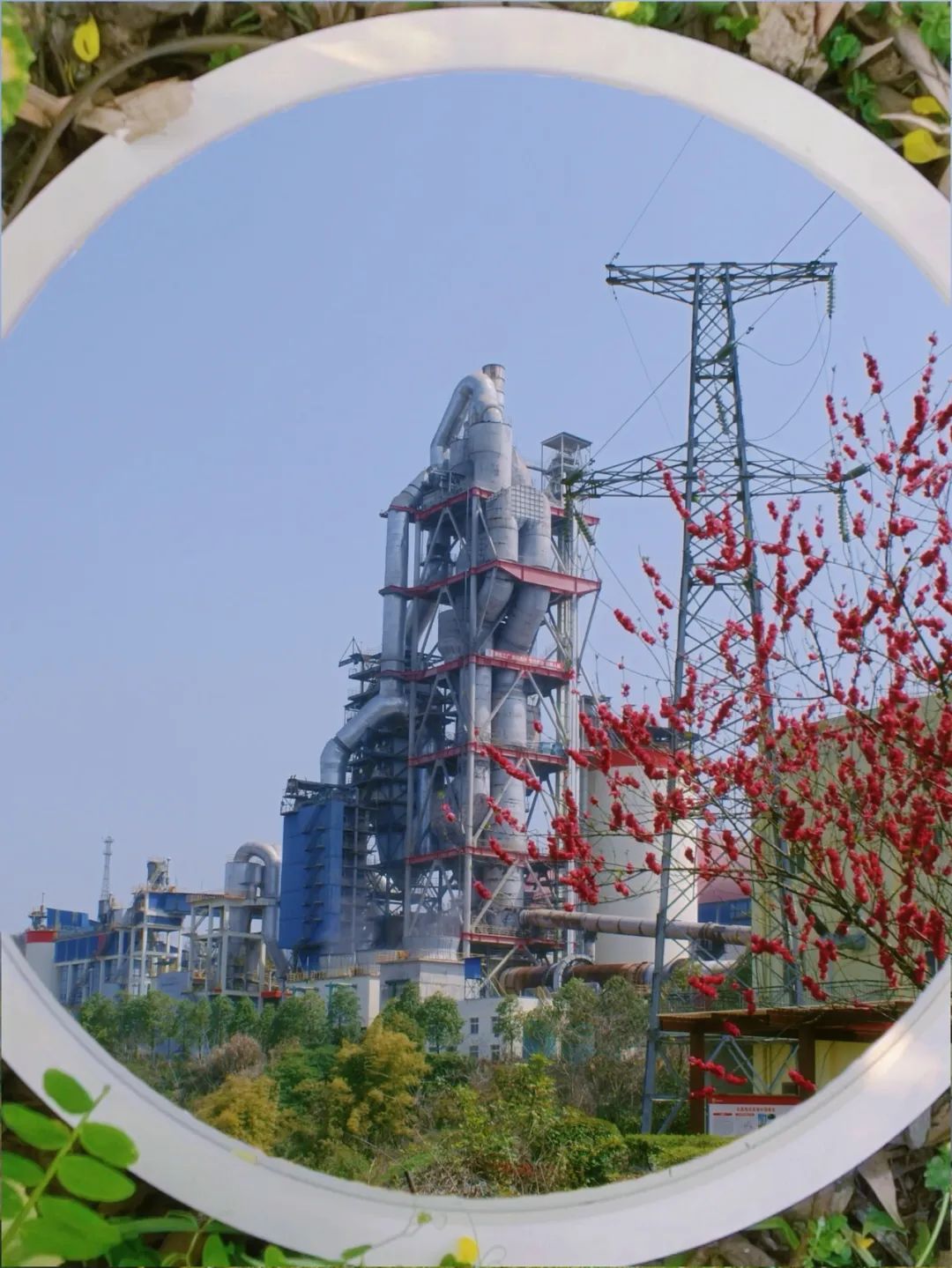 2025040709495583986 2025040709495583986